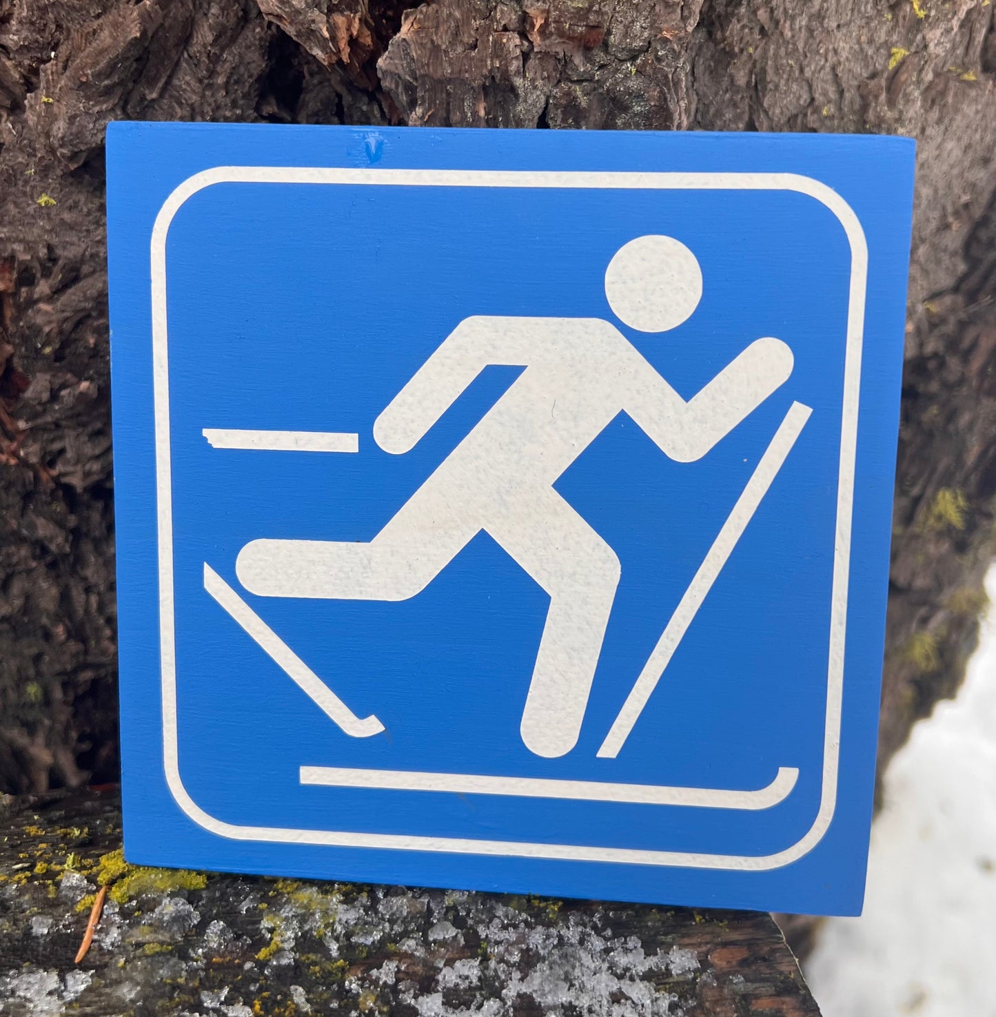 Cross Country Skiing Recreational Icon