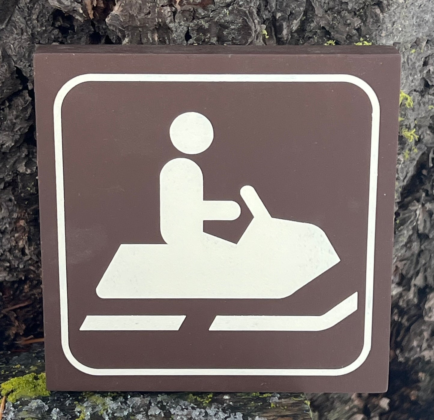 Snowmobile Recreational Icon