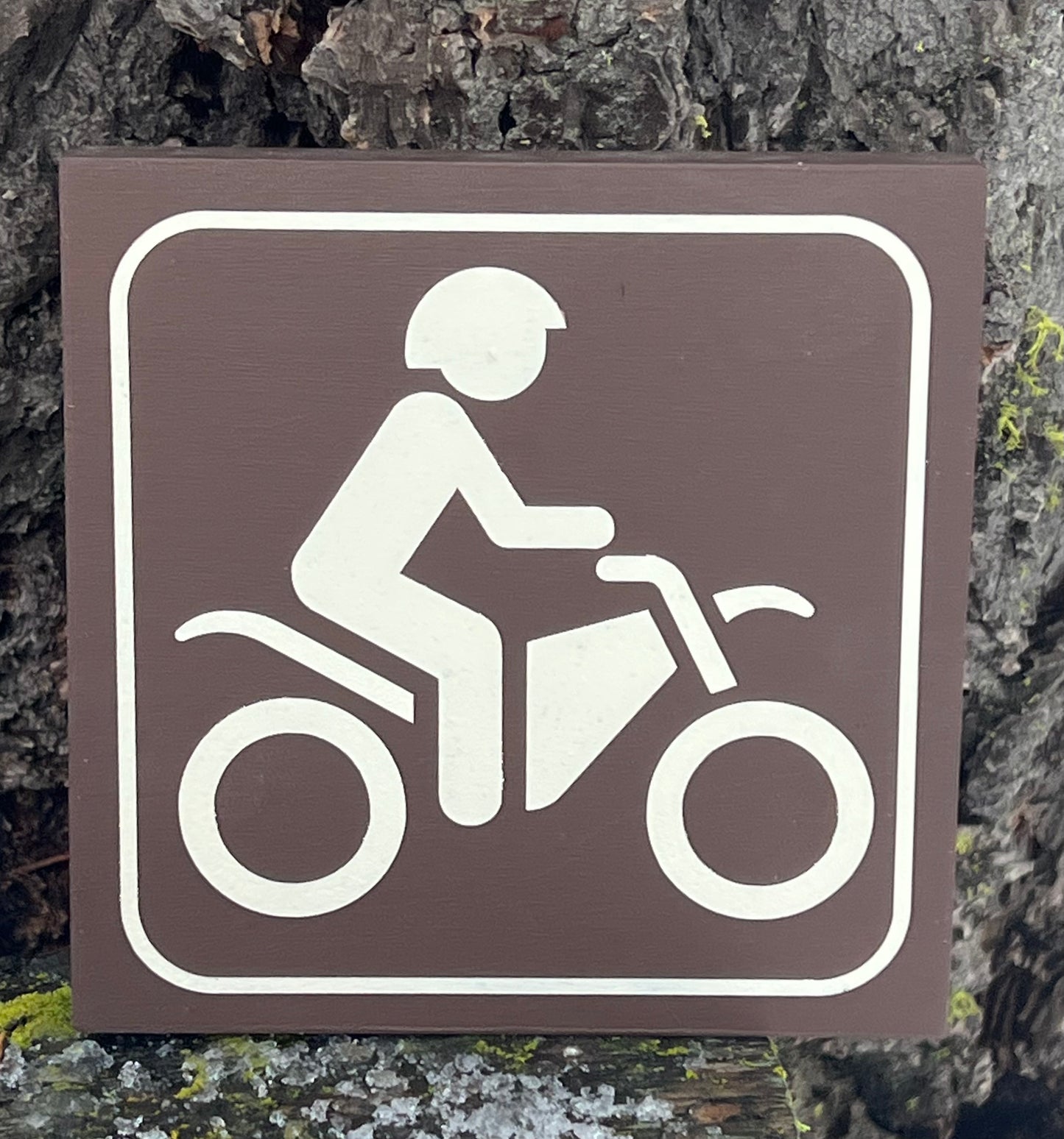 Motorcycle Recreational Icon