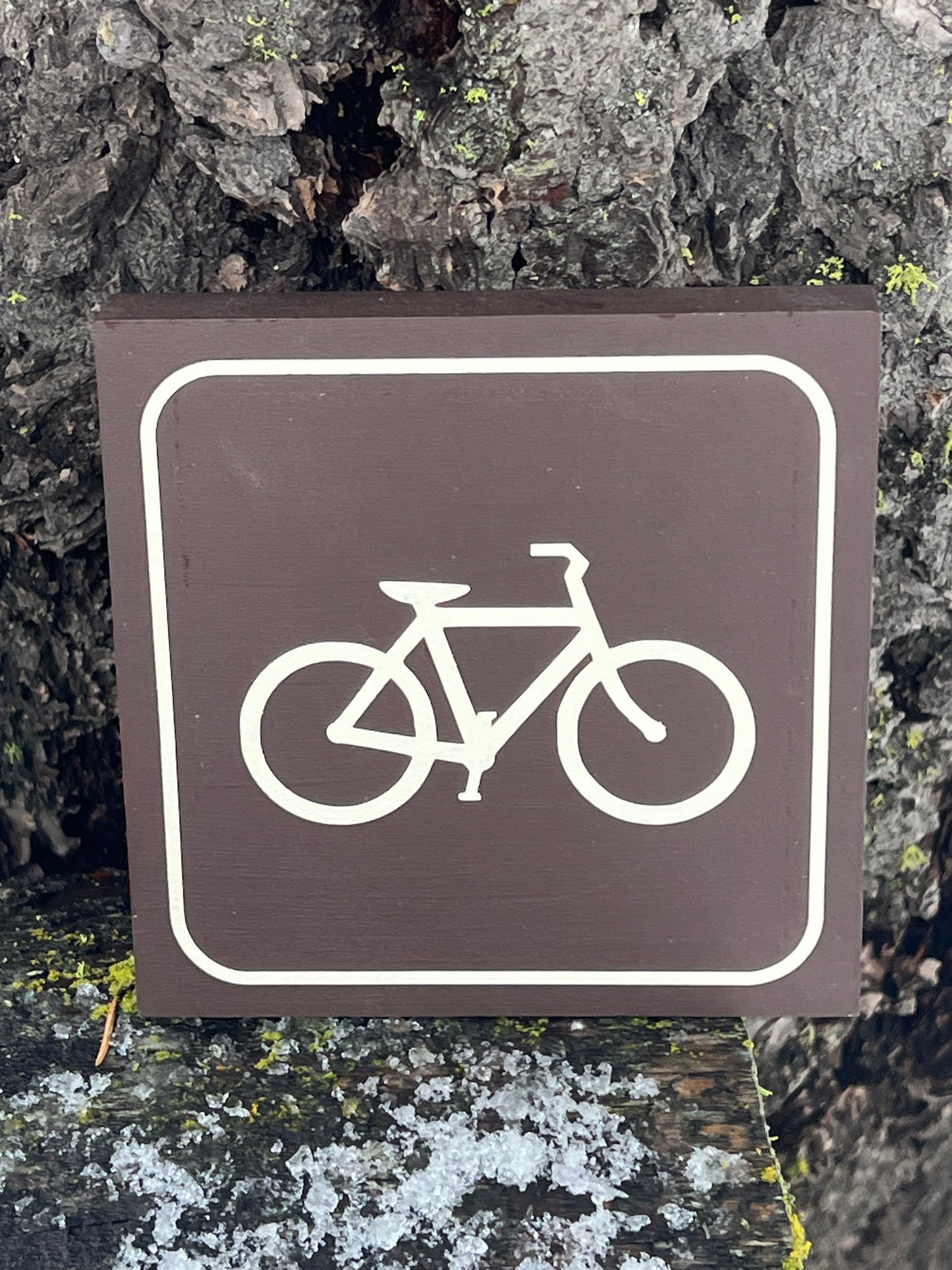 Bike Recreational icon