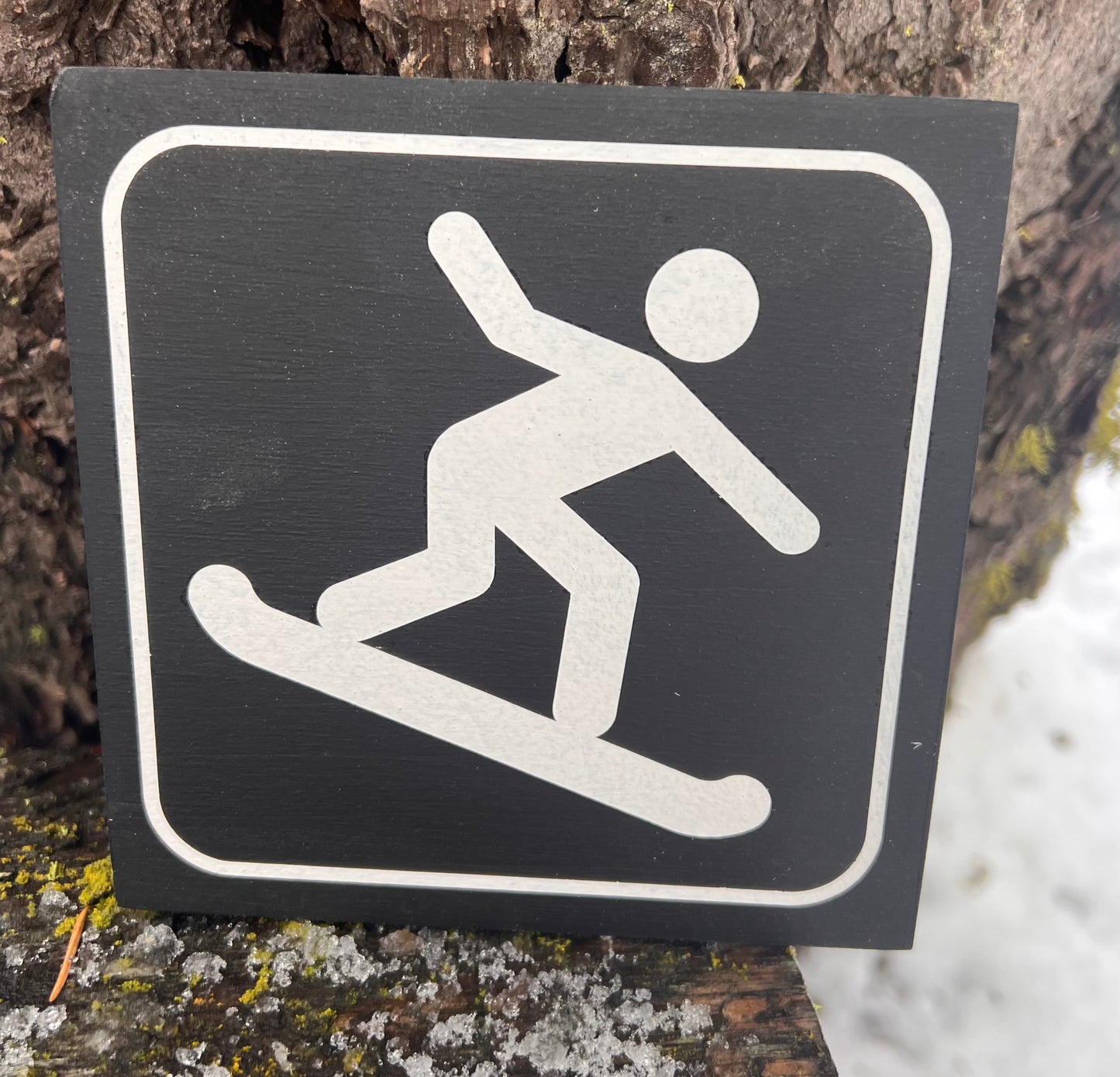 Snowboarding Recreational Icon