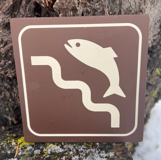 Fish Ladder Recreational Icon