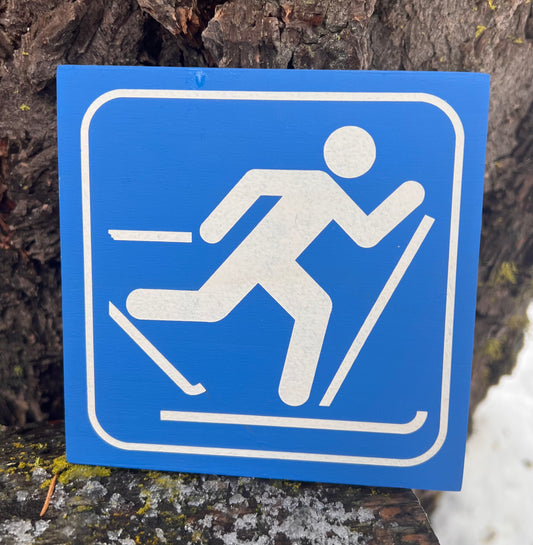 Cross Country Skiing Recreational Icon