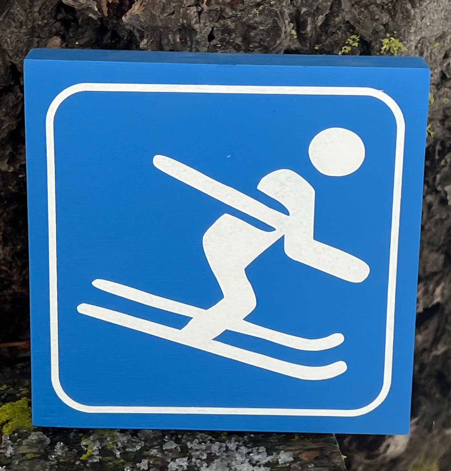 Ski Recreational Sign