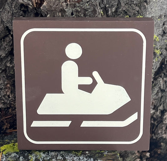 Snowmobile Recreational Icon