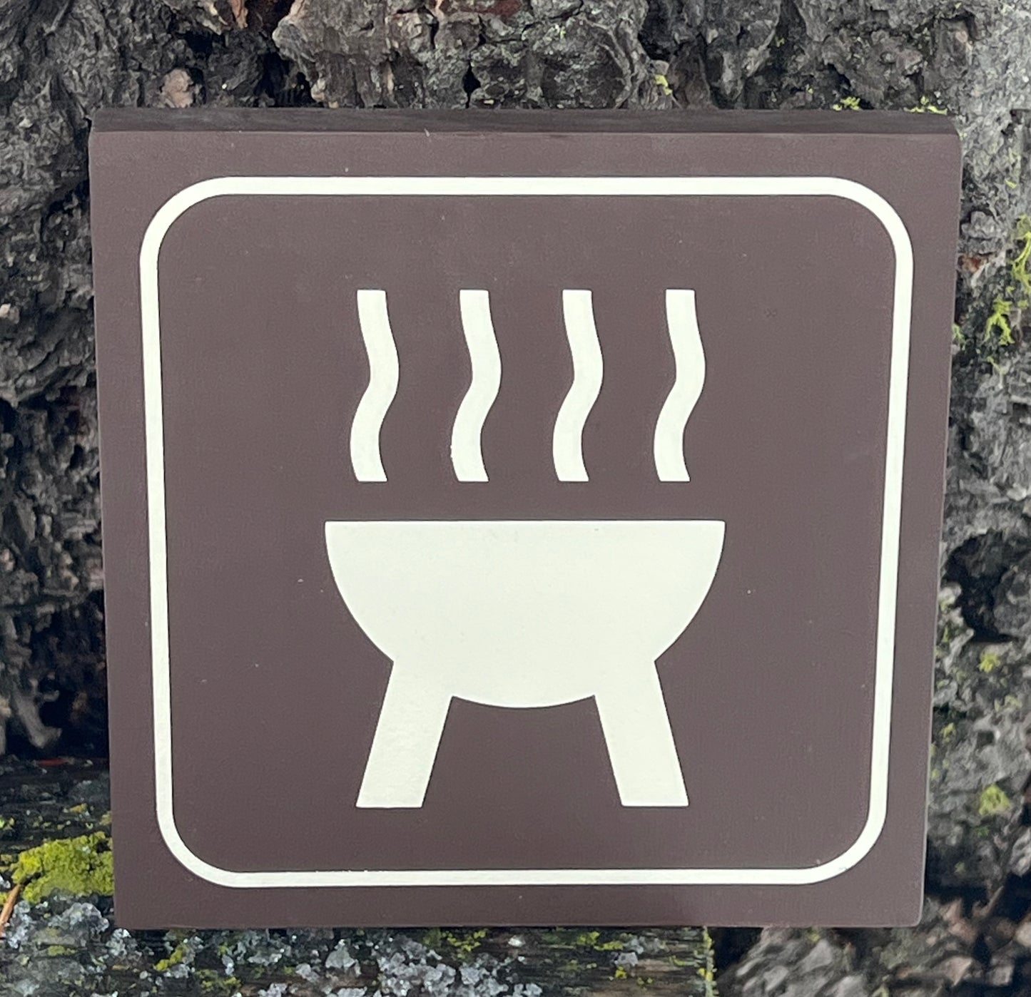 Barbeque Recreational Icon