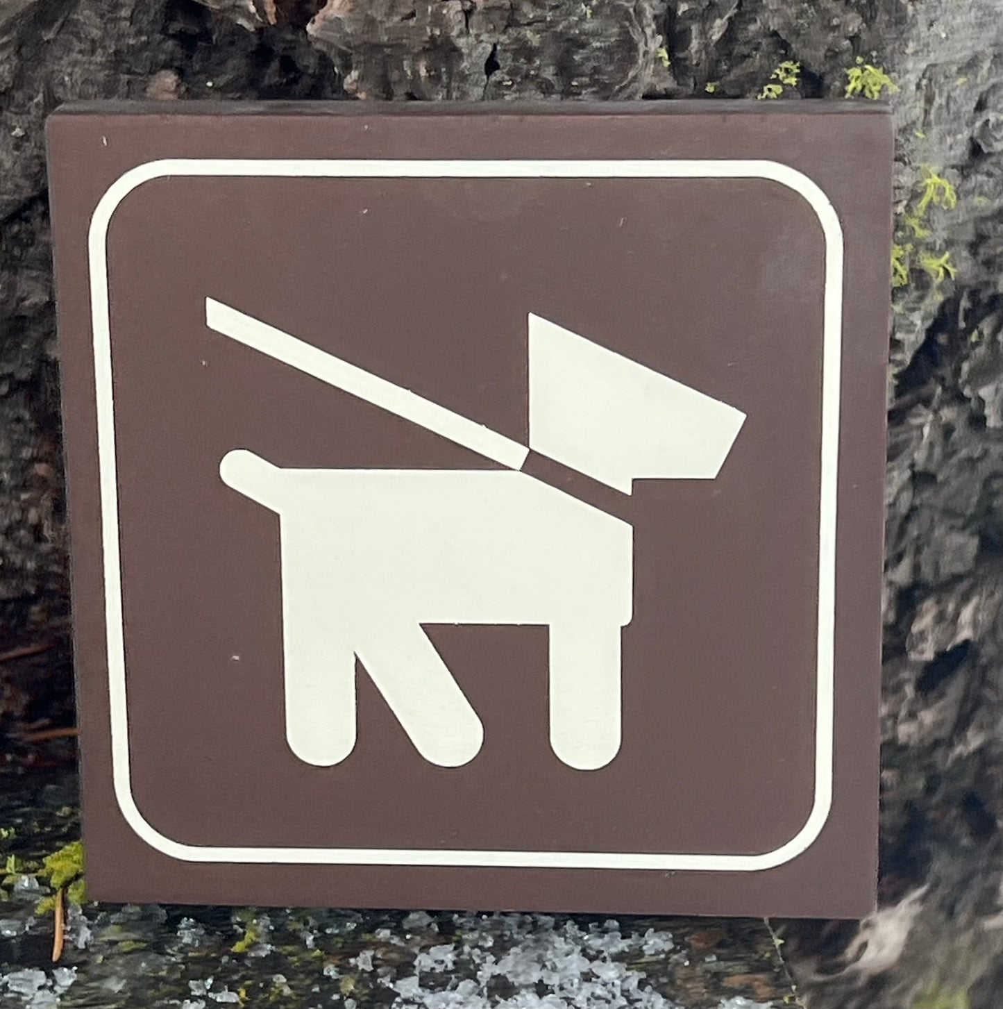 Dog Recreational Icon