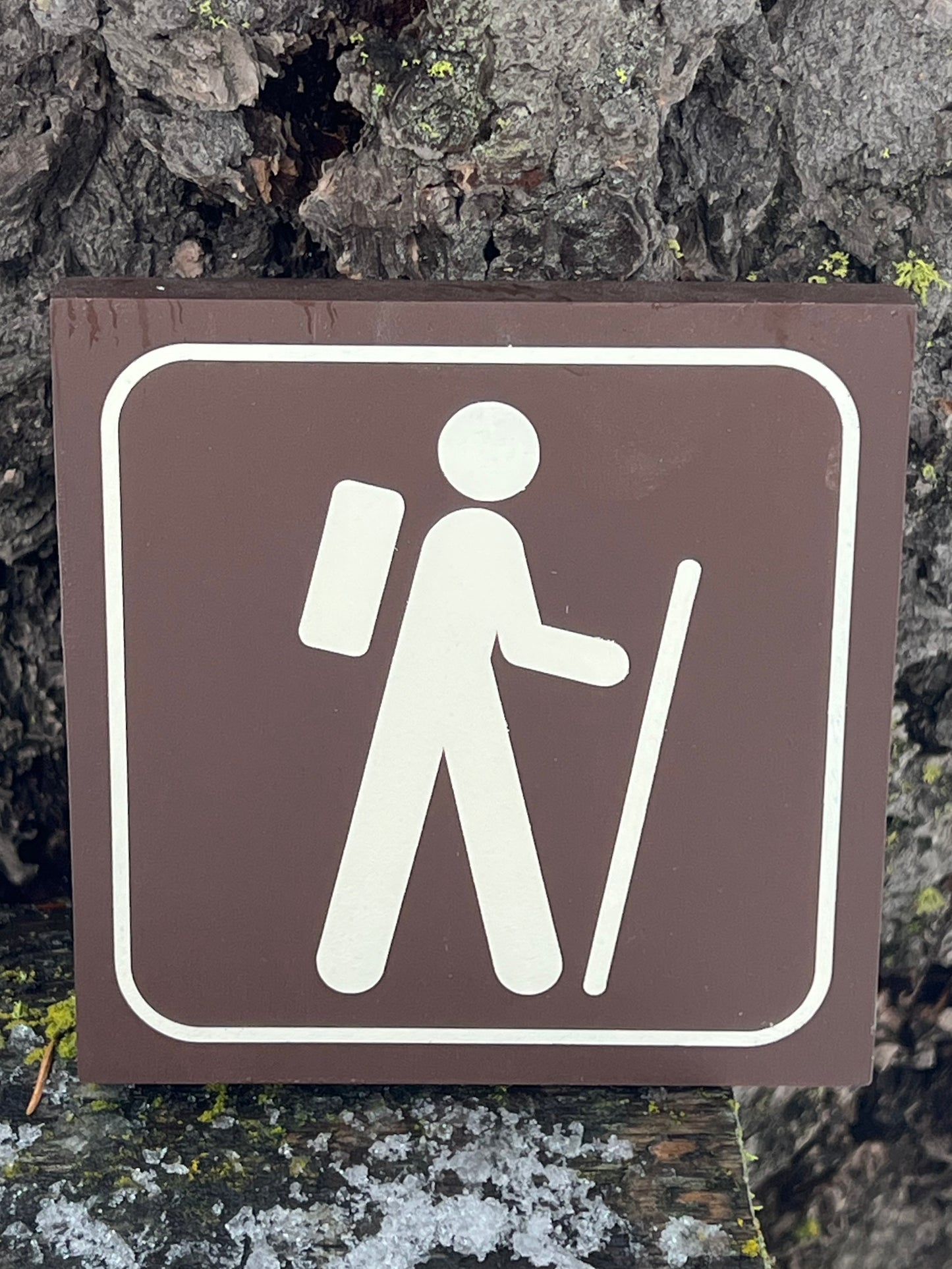 Single Hiker Recreational Icon Sign