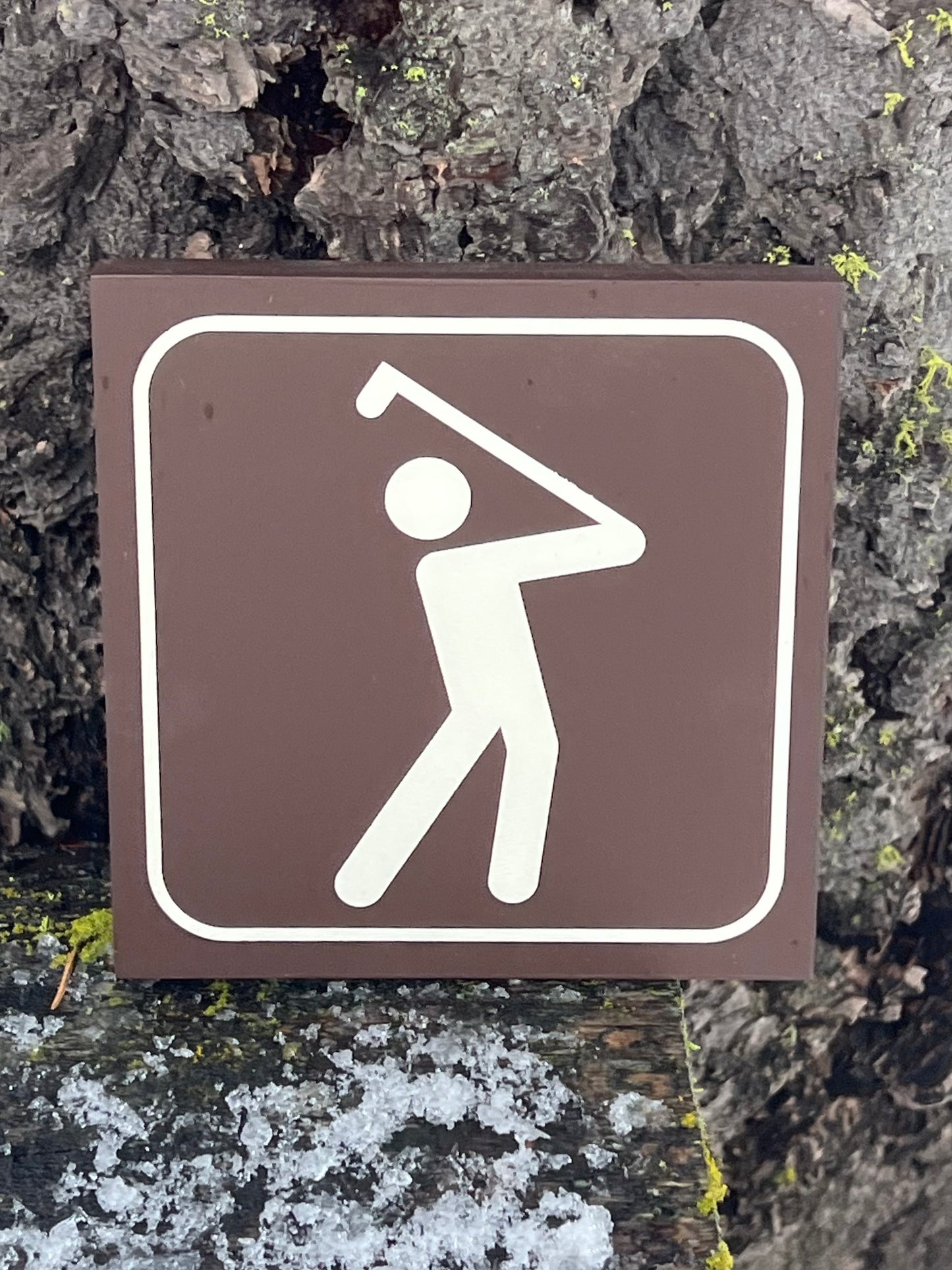 Golf Recreational Icon