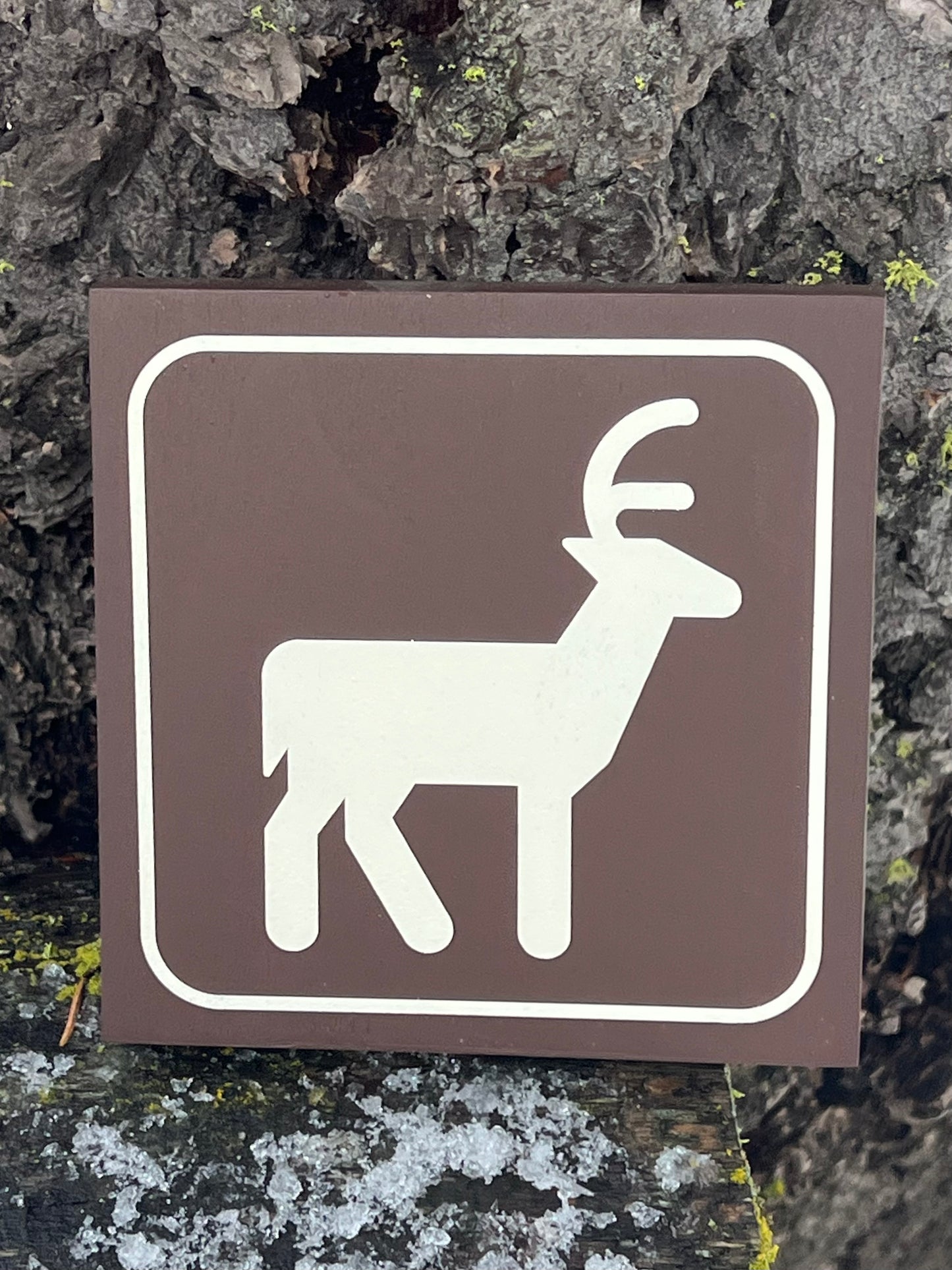 Deer Recreational Icon