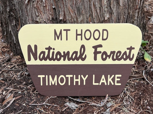 Timothy Lake